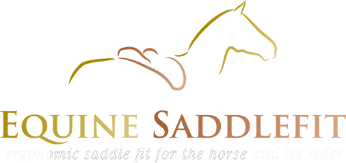 Equine Saddle Fit USA Company